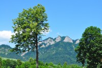 /album/z-okolia/dsc-4357-jpg1/