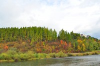 /album/z-okolia/dsc-0189-jpg1/