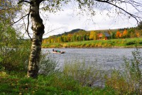 /album/z-okolia/dsc-0197-jpg1/