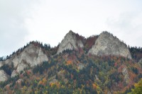 /album/z-okolia/dsc-0206-jpg/