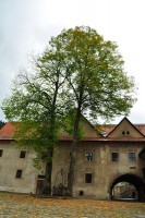 /album/z-okolia/dsc-0246-jpg1/