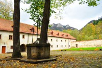 /album/z-okolia/dsc-0248-jpg1/